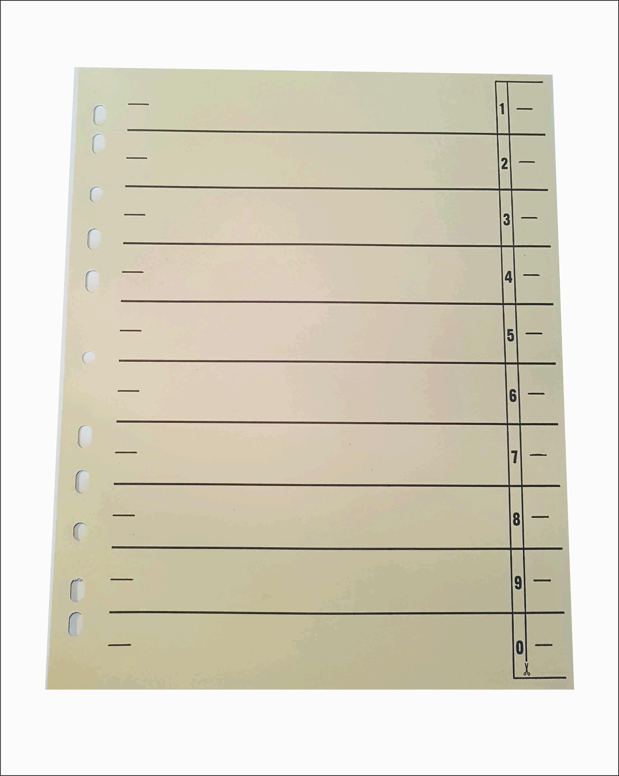 Trennblatt STREIT 180g/m²  Manilakarton chamois 100 Stück 