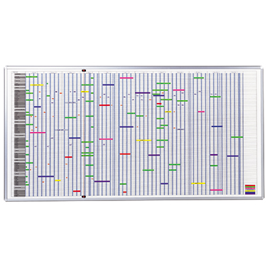 Jahresplaner Franken SJP1990 100x193cm 12 Monate