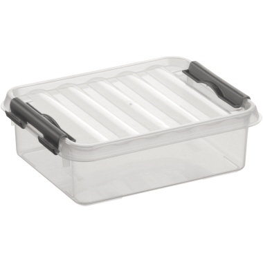 Aufbewahrungsbox H61623 1 Liter transparent, B50xT200xH60mm