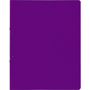Ringbuch Brunnen A4 16mm 2Ring violett 106551660