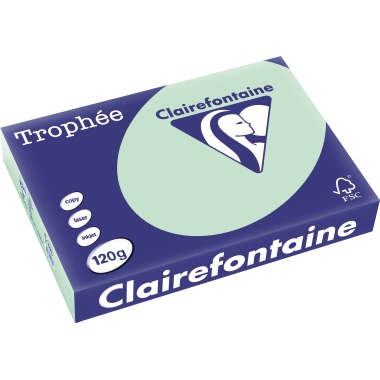 Kopierpapier Clairefontaine 1216C A4 120g hellgrün 250 Blatt