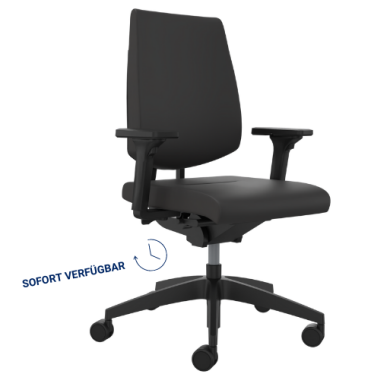 SEDUS Black Dot 102 