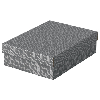 Archivbox Leitz 6282 A4 Karton