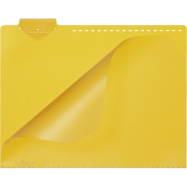 Leitkartentasche Durable 3996 A4 