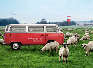 Nachhaltigkeit bei Assmann VW Bus steht auf einer Wiese voller Schafe