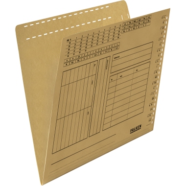 Einstellmappe Falken 80004377 A4 
